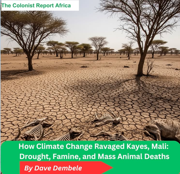 The Colonist Report Africa-TCR Africa